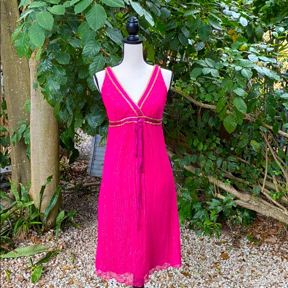 Parameter Fuchsia & Gold Dress
